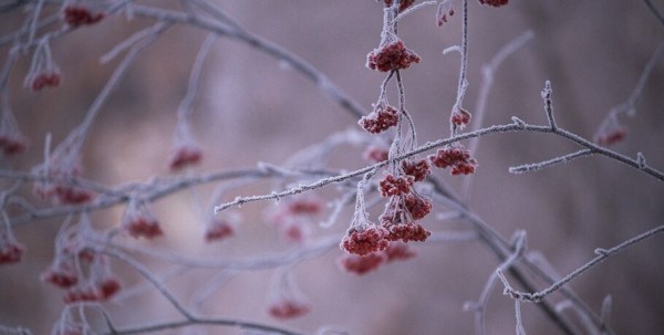Как уберечься от обморожения: советы омских врачей