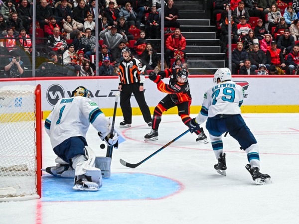 
									«Авангард» растерзал сочинских «леопардов» в Омске 