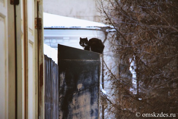 Пустите погреться, пожалуйста: как омичам не замёрзнуть на улице