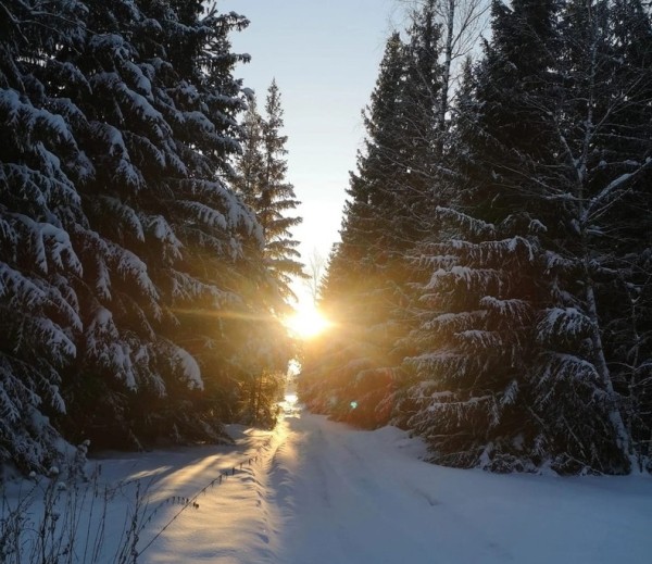 
									Не оливье единым: где отдохнуть омичам на новогодних каникулах? 