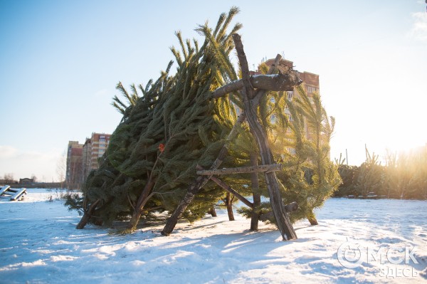 Как украсить новогоднюю ёлку, чтобы она понравилась Зелёному дракону Как украсить новогоднюю ёлку, чтобы она понравилась Зелёному дракону