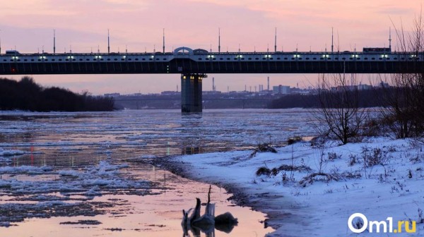 По омскому мосту у Телецентра перекроют движение троллейбусов