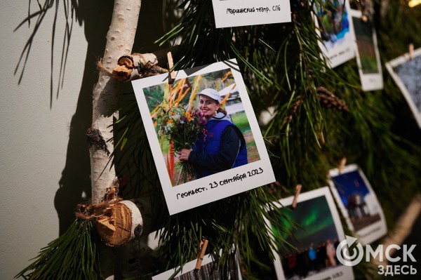 Оливье, футбол и винил. В Омске открылась выставка авторской ёлки "ПодЕЛЬники-5"