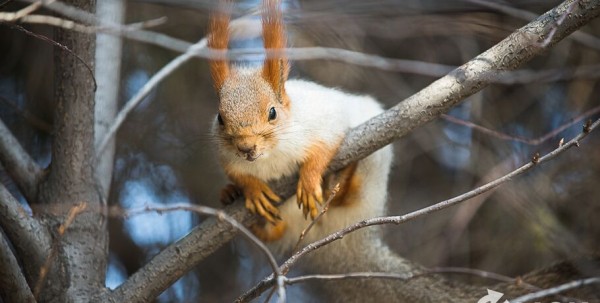 Снег с дождём и плюсовая температура: декабрь продолжает удивлять омичей Снег с дождём и плюсовая температура: декабрь продолжает удивлять омичей