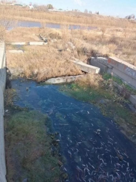 Развалин нам не надо: почему власти Калачинского р-на в упор не замечали полуразрушенную дамбу