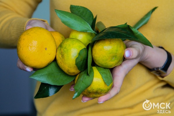 Роспотреб рекомендует: чем полезны мандарины и как их выбирать