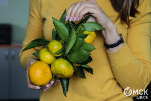 Роспотреб рекомендует: чем полезны мандарины и как их выбирать