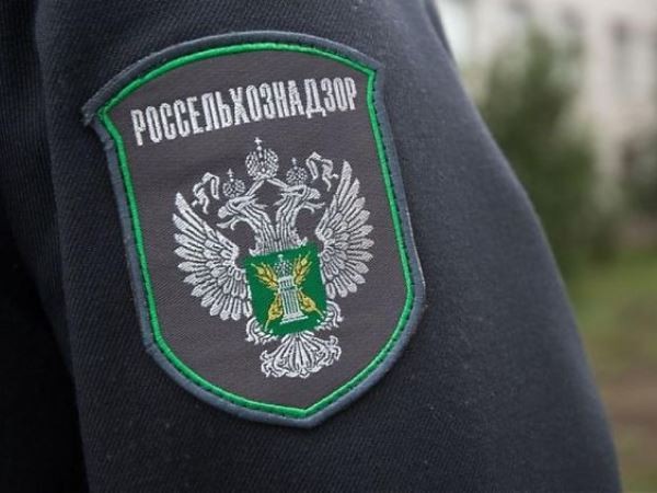 Омичи завалили Китай своим горохом
Омичи завалили Китай своим горохом