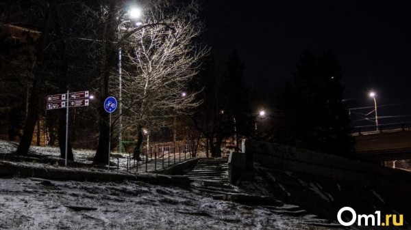 К Омску приближается шквалистый ветер и метель