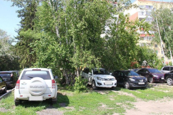 
									В Омске на любителях парковки на газонах заработали 26 млн 