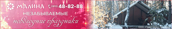 
									Не оливье единым: где отдохнуть омичам на новогодних каникулах? 