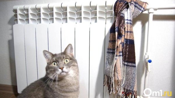 В Омске назвали срок восстановления отопления в квартирах и школах