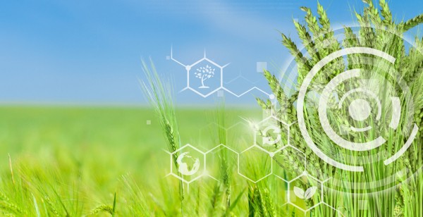 РСХБ поддерживает молодых ученых и студентов-аграриев
РСХБ поддерживает молодых ученых и студентов-аграриев