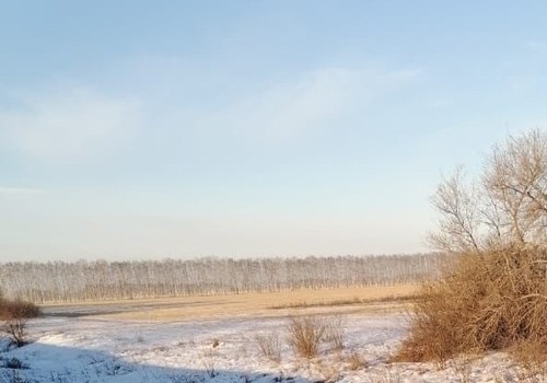 В Омске побит рекорд 1988 года по количеству осадков