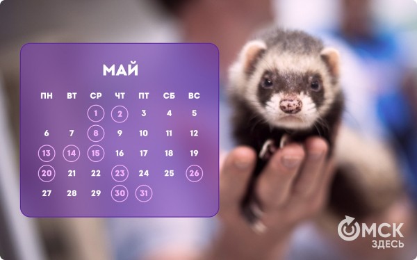 Кошачий Новый год и День объятий с собакой: публикуем зоокалендарь на 2024 год Кошачий Новый год и День объятий с собакой: публикуем зоокалендарь на 2024 год