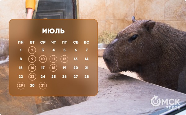 Кошачий Новый год и День объятий с собакой: публикуем зоокалендарь на 2024 год Кошачий Новый год и День объятий с собакой: публикуем зоокалендарь на 2024 год