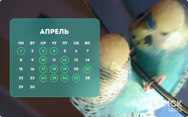 Кошачий Новый год и День объятий с собакой: публикуем зоокалендарь на 2024 год Кошачий Новый год и День объятий с собакой: публикуем зоокалендарь на 2024 год