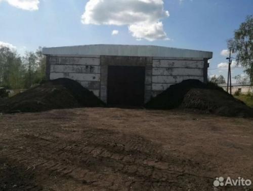 Колыбель золотая: омские поля ждут новых хозяев?