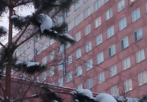 Пациенты в горбольнице № 1 им. Кабанова жалуются на обилие тараканов Пациенты в горбольнице № 1 им. Кабанова жалуются на обилие тараканов