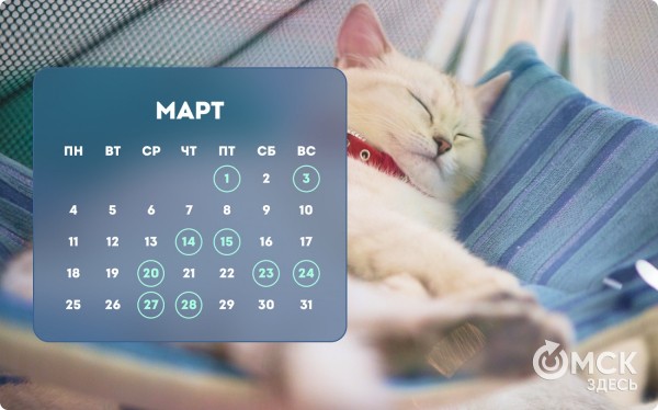 Кошачий Новый год и День объятий с собакой: публикуем зоокалендарь на 2024 год Кошачий Новый год и День объятий с собакой: публикуем зоокалендарь на 2024 год