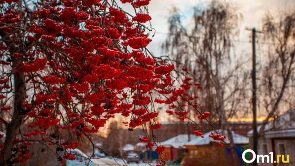 К выходным погода в Омской области сделает мощный поворот