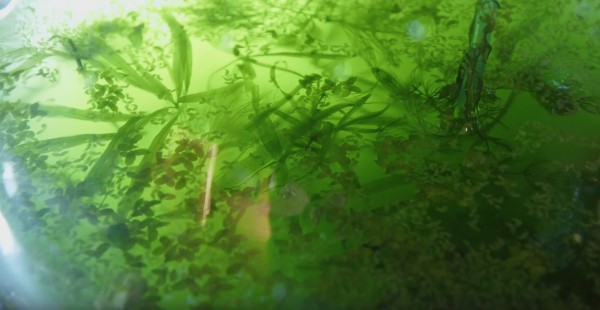 В Омске разрабатывают продукт нового поколения