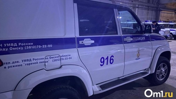 В Омске поймали мужчину, который совершил несколько грабежей В Омске поймали мужчину, который совершил несколько грабежей