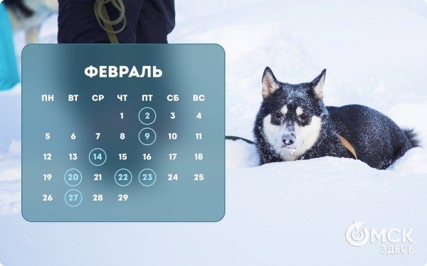 Кошачий Новый год и День объятий с собакой: публикуем зоокалендарь на 2024 год Кошачий Новый год и День объятий с собакой: публикуем зоокалендарь на 2024 год