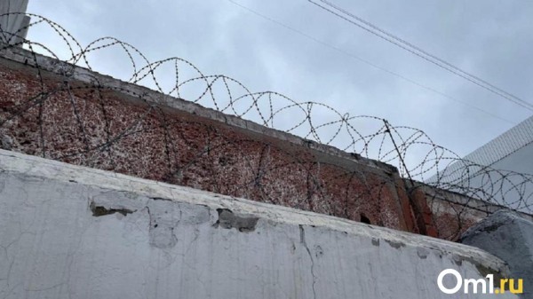 Омичу грозит 10 лет за выращивание конопли на даче