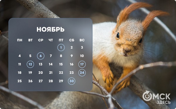 Кошачий Новый год и День объятий с собакой: публикуем зоокалендарь на 2024 год Кошачий Новый год и День объятий с собакой: публикуем зоокалендарь на 2024 год