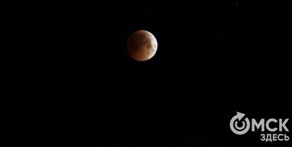 Затмения и яркие планеты: что рассматривать на небе в 2024 году Затмения и яркие планеты: что рассматривать на небе в 2024 году