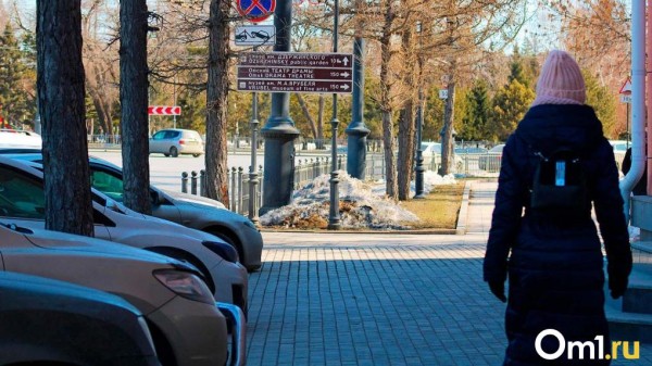 Мэрия хочет ликвидировать нехватку водителей с помощью омичек