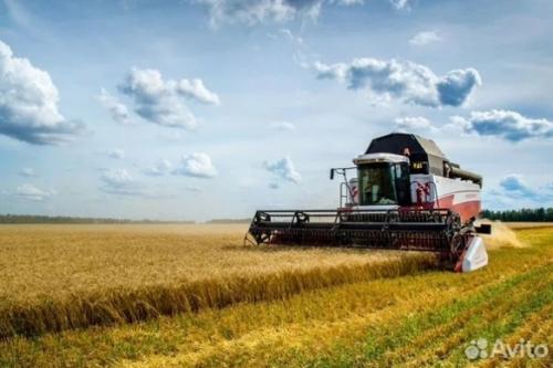 Колыбель золотая: омские поля ждут новых хозяев?