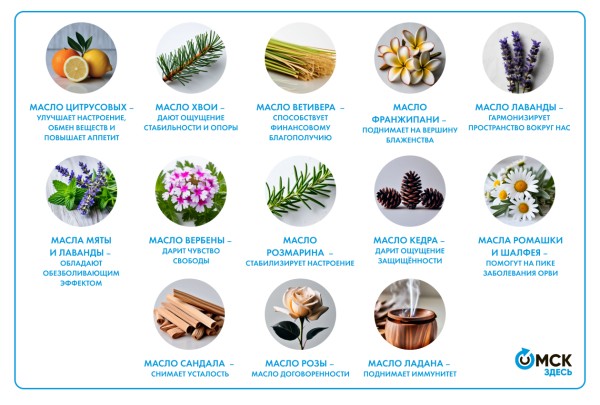 Капелька волшебства. Узнали, какой аромат у благополучия, хорошего настроения и наступившего года