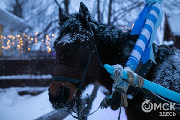 Сколько ваты ушло на резиденцию и как выгуливать оленя? Дед Мороз делится секретами