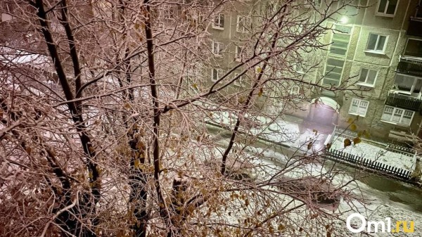 Циклон из Атлантики принесёт в Омскую область ежедневные снегопады Циклон из Атлантики принесёт в Омскую область ежедневные снегопады