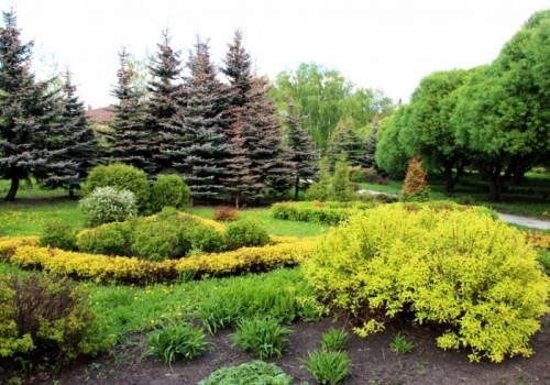 Суд принял первые меры по изъятию из незаконного владения части омского Дендросада Суд принял первые меры по изъятию из незаконного владения части омского Дендросада