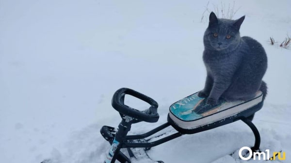 Мэрия предупредила омичей об опасных холодах