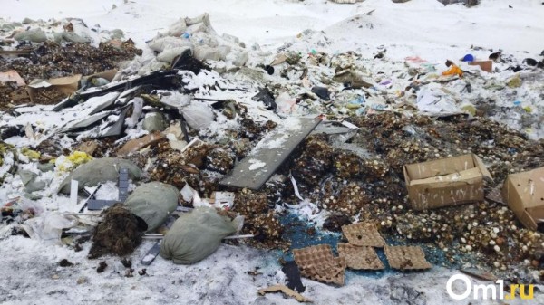 Стало известно, кому придется убирать свалку тухлых яиц в Омске