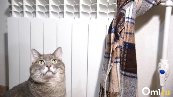 В омской РЭК нашли нарушения при формировании тарифов на отопление