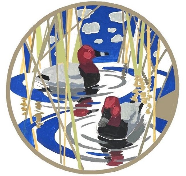 Олицетворяющие тьму и зависшие в воздухе. Какие пернатые украсят "Птичью гавань"