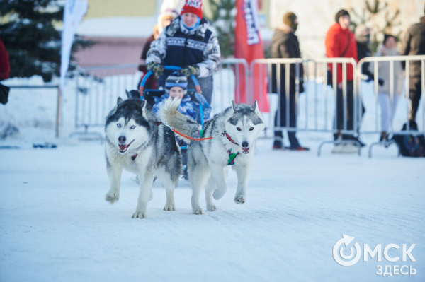 Раньше маршировали курсанты, теперь рассекают сноубордисты. Как прошёл День зимних видов спорта