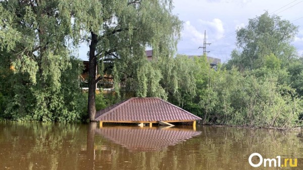 Чтобы Омск не затопило, из него нужно вывезти 38 тысяч кубометров снега