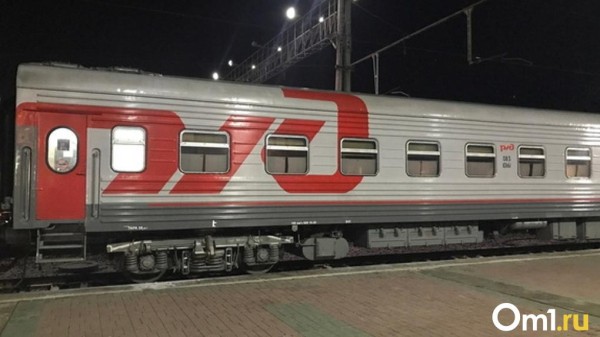 В Москве под колёсами электрички погибла омичка, спасая собаку