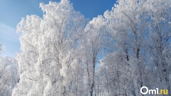 В марте омичей ждёт возвращение 30-градусных морозов