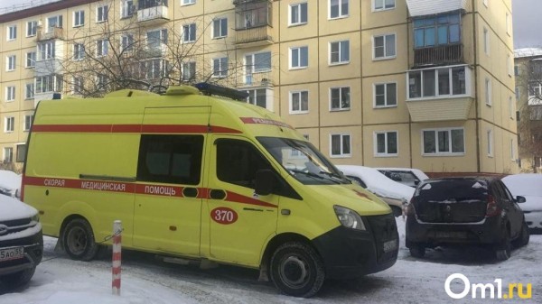 Неизвестный омич сбил восьмилетнюю девочку и сбежал Неизвестный омич сбил восьмилетнюю девочку и сбежал