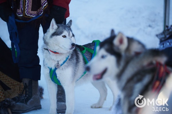 Раньше маршировали курсанты, теперь рассекают сноубордисты. Как прошёл День зимних видов спорта