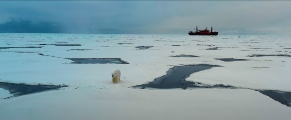 В Омске покажут документальный фильм про Арктику В Омске покажут документальный фильм про Арктику