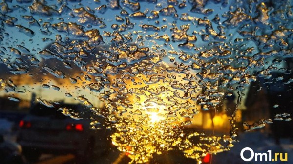 Репетиция весны: в Омскую область пришла оттепель из Атлантики