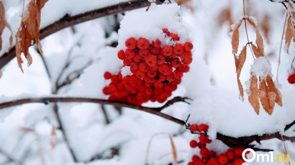 Синоптики рассказали, когда в Омской области отступят морозы